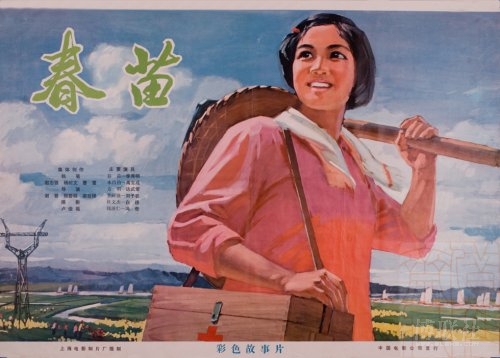 新版台湾居民身份证图片大全